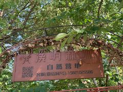 -菊园百果园