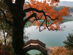 -蒋氏故居