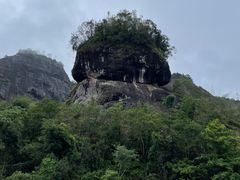 -九曲溪竹筏码头