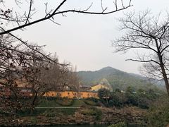 -冶父山国家森林公园
