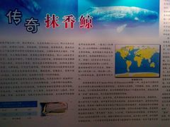 -上海海洋大学鱼文化博物馆(军工路校区)