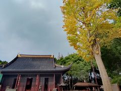 -上海方塔园