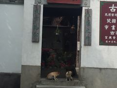 -蒋氏故居