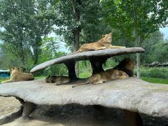 -北京野生动物园