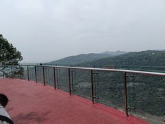 -铁山坪森林公园