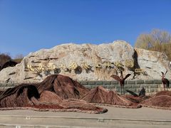 -北京西山国家森林公园