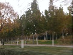 -北京市海淀外国语实验学校