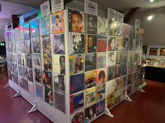 -树懒黑胶唱片店(中山路店)