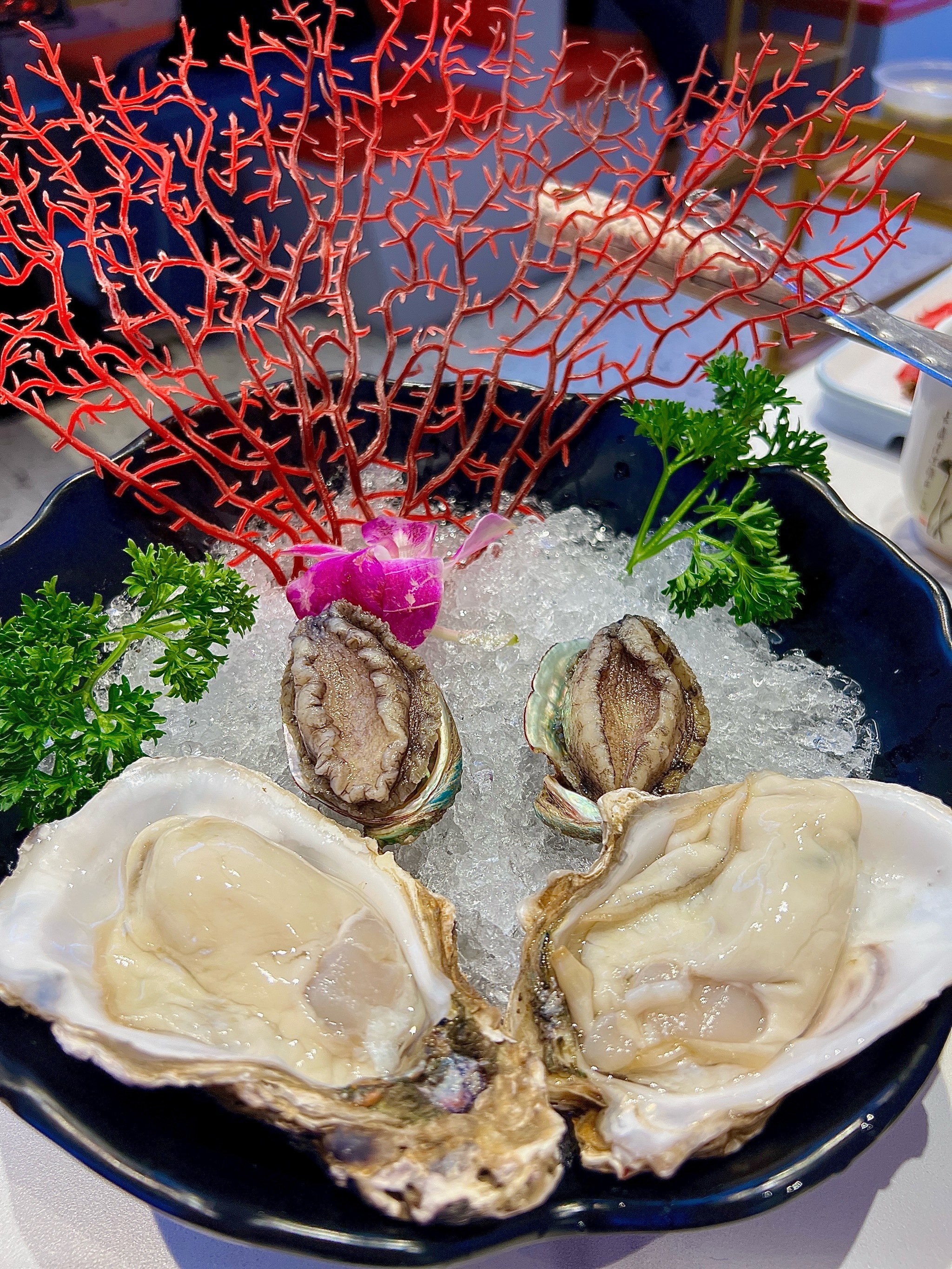 牛牛和牛海鲜粥底火锅,味蕾新宠😋