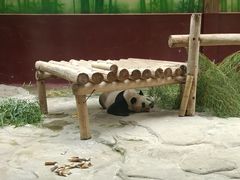 -杭州野生动物世界