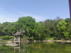 -青龙山国家森林公园