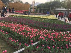 -龙环葡韵住宅式博物馆