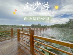 -大湾区中央湿地公园