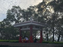 -金鸡山公园