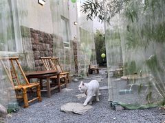 -南枝小馆(银鱼巷店)