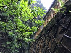 -井冈山风景名胜区-黄洋界