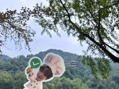 -青城山