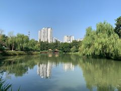 -圩墩遗址公园