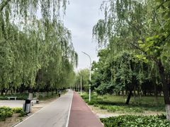 -绿堤公园