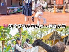 -厦门方特梦幻王国