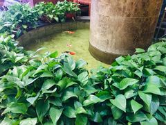 -古莲·影院足道·按摩SPA(水上温泉店)