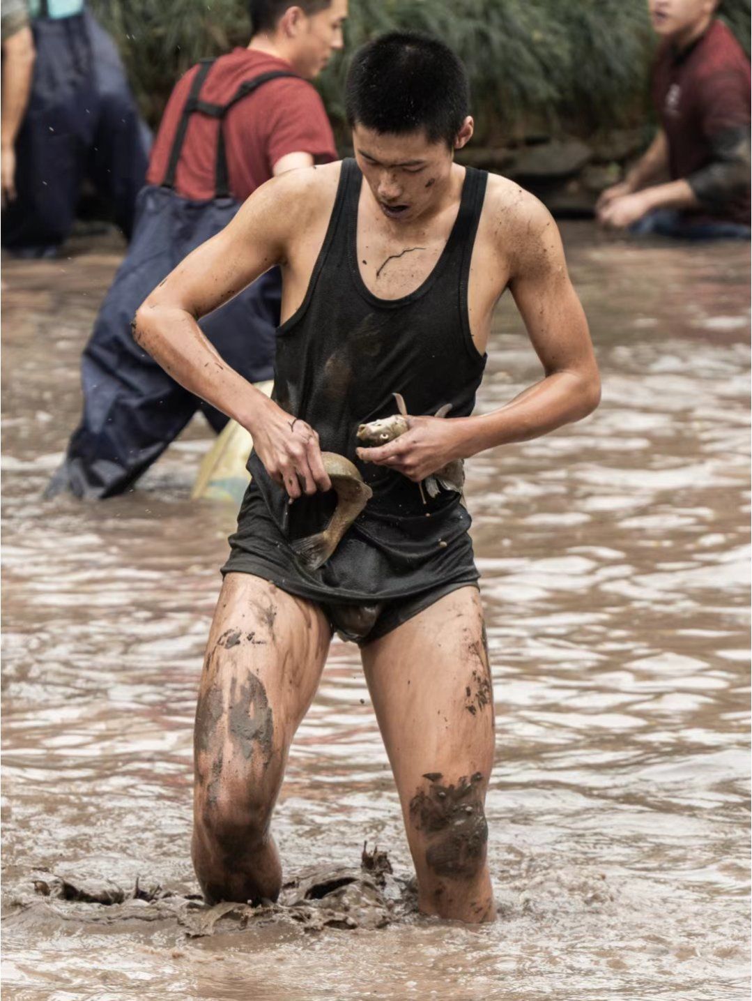 赏心悦目的挖藕摸鱼大赛!