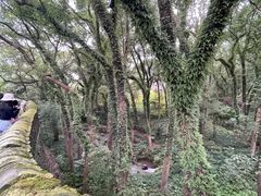 -台州府城(江南长城)