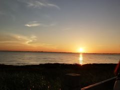 -吴淞炮台湾湿地森林公园烧烤区