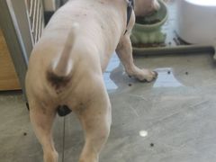 -美联众合动物医院(唯恩分院)