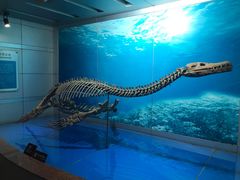 景点-自贡恐龙博物馆