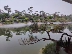 -罗红摄影艺术馆