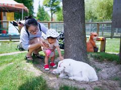 -前小桔亲子创意农场·草莓采摘·露营烧烤