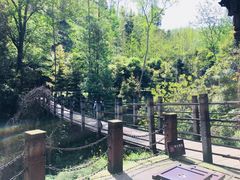 -凤栖山