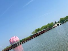 -白洋淀景区