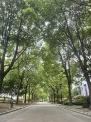 -上海美兰湖妇产科医院