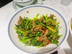 香菜炒牛肉-壹盏灯(惠农店)