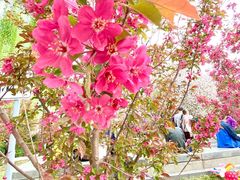 -元大都城垣遗址公园