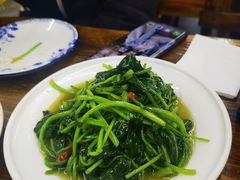 -苗氏卷子鸡(张掖金鸿大厦店)