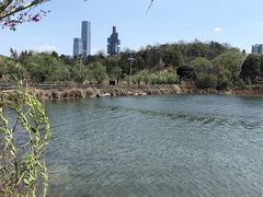 -观山湖公园