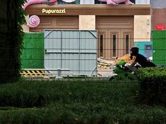 -帕帕拉兹宠物(亚洲旗舰店)