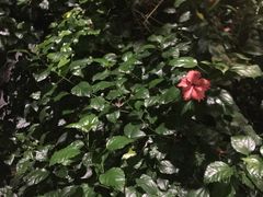 -龙达温泉生态城