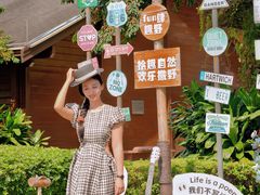 -美的鹭湖森林度假区