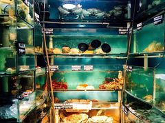 -珍记海鲜酒家(嵩山路店)