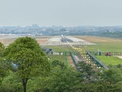 -空港花田景区