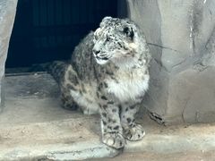 -青藏高原野生动物园