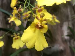 -南通洲际绿博园