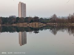 -洋湖国家湿地公园