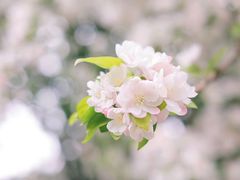 -古北壹号