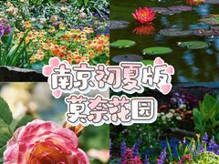 -莫愁湖公园