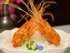 -南麓·浙里(外滩店)